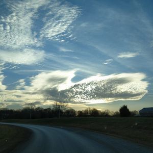 Meet your Posher, Norman